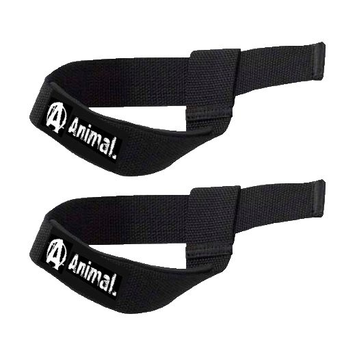Straps Animal Pro